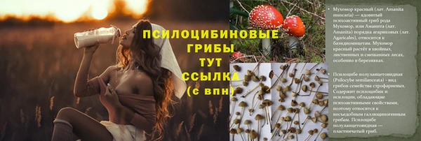 ешки Корсаков