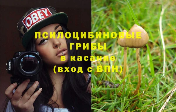 не бодяженный Коряжма