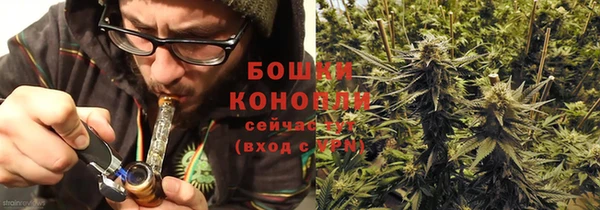 ешки Корсаков