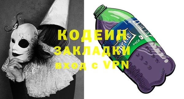 ешки Корсаков