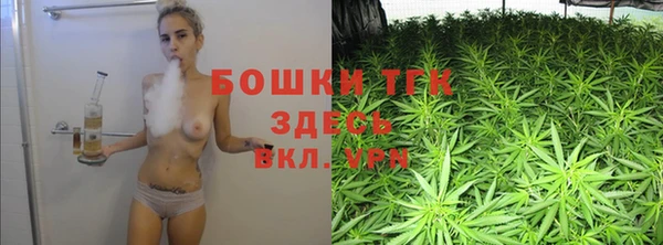 ешки Корсаков